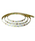 LED STRISCIA 5050-60LED/MT RGB-WHITE 5mt 12W IP65  (PU)