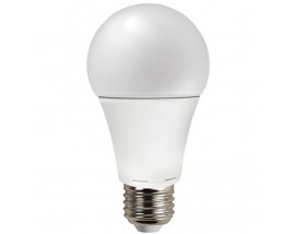 Lampadina LED Bulbo 12W A60