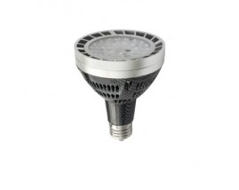 LAMPADA LED PAR30 MULTIPUNTO 30W E27